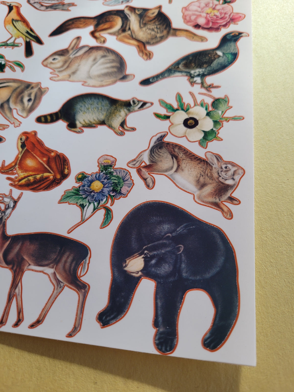 Animal Friends Sticker Sheet
